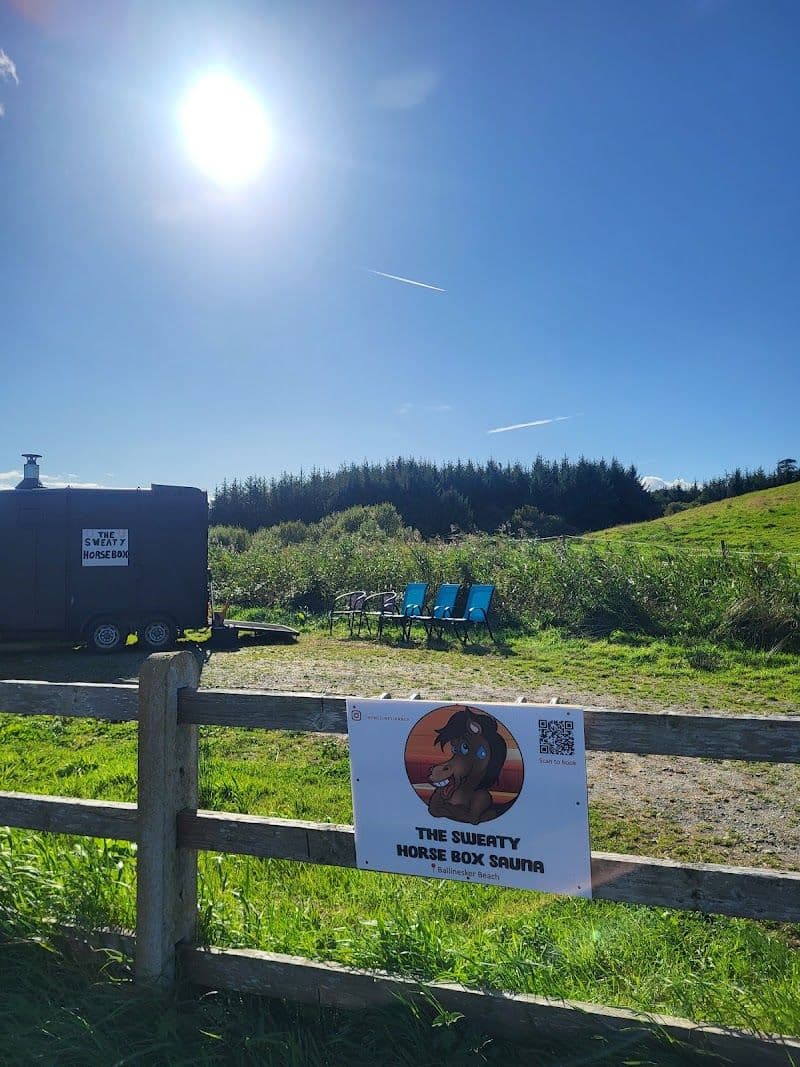 The Sweaty Horsebox Sauna in Wexford, Ireland