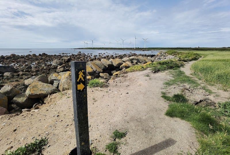 SoulFire in Wexford, Ireland